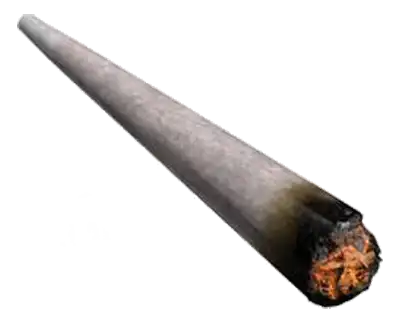Cigar